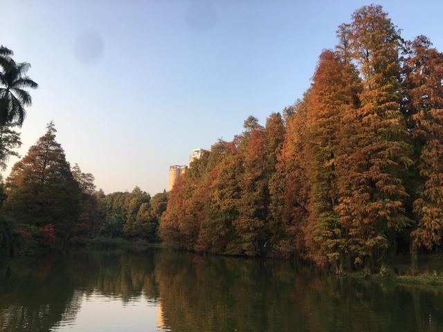 写在新年的开头：过好一生一世