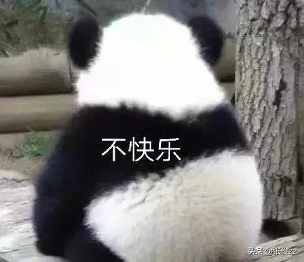 又好笑又无语的句子