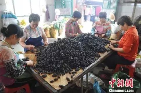 针对这种零食，湖南下了一道“封杀令”