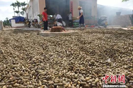 针对这种零食，湖南下了一道“封杀令”