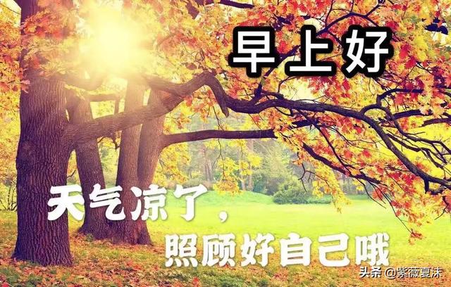 早安天冷了关心朋友的句子，适合发朋友圈