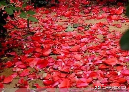 30首最经典落花古诗词：无可奈何花落去，一片花飞减却春