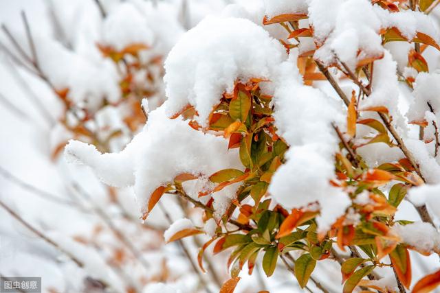 下雪的经典句子，另一个城市的你，再冷也不要抱别人