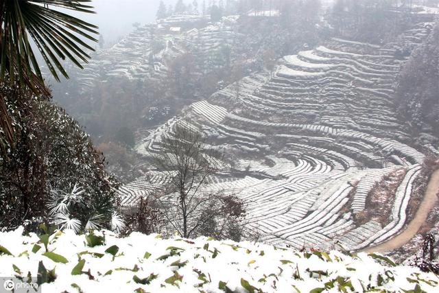 下雪的经典句子，另一个城市的你，再冷也不要抱别人