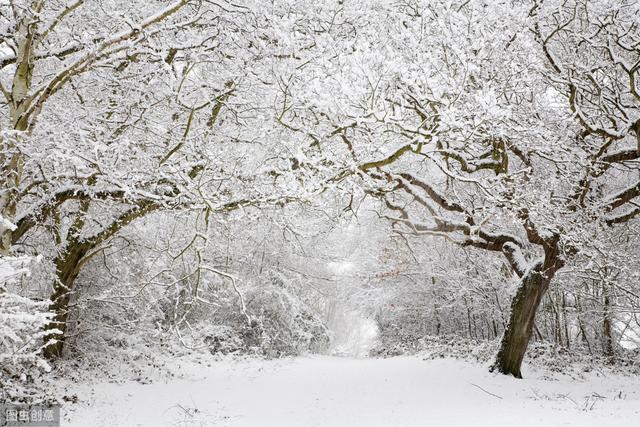 下雪的经典句子，另一个城市的你，再冷也不要抱别人