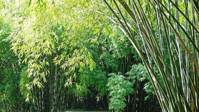 独守孤贞待岁寒。来日可期，一首写于谪居之所的七律，旷达高远