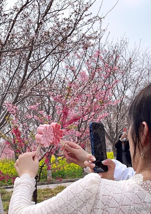 河南的夏天，万物皆可冰淇淋 | 豫记