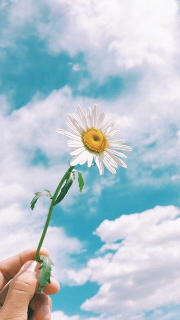 七夕——没有鲜花，没有礼物