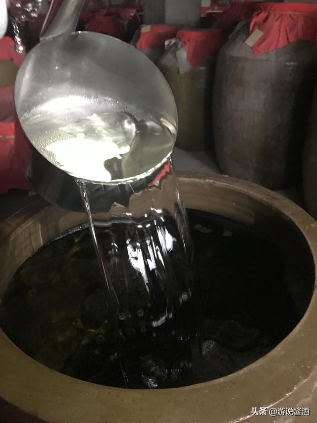 女生与酒：“醉过才知酒浓，爱过才知情重