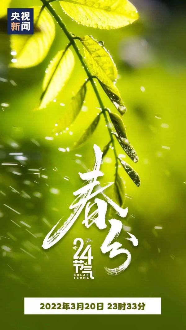 春分冷雨“冻”人！今早，你被大风刮醒了吗？