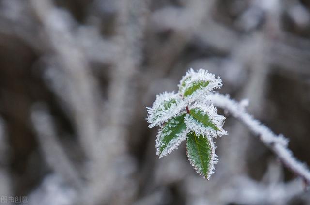 天气预报：仲春二月，雨雪频繁来袭，倒春寒成定局？农谚咋说