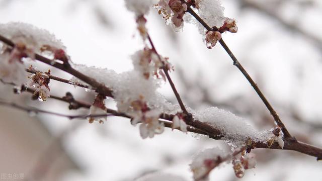 天气预报：仲春二月，雨雪频繁来袭，倒春寒成定局？农谚咋说