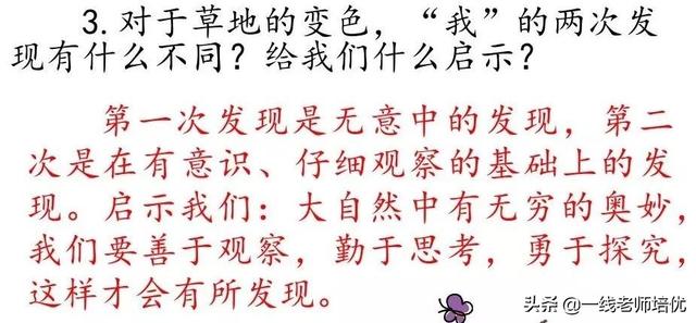 知识点+练习题 】部编版三年级语文上册 16 金色的草地