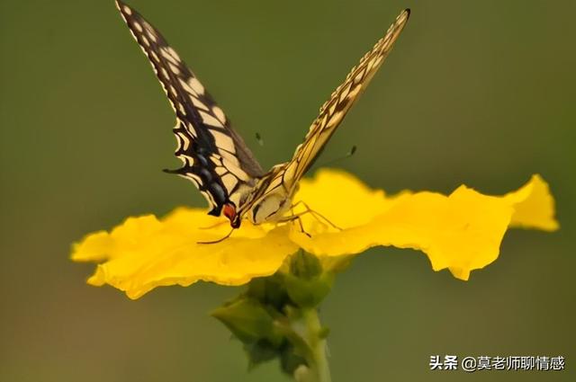 挽回女友感人的话错误示范：挽回的核心永远是挽回自己