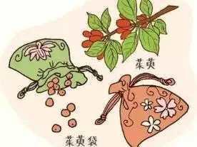 重阳节丨重阳节由来与习俗好运