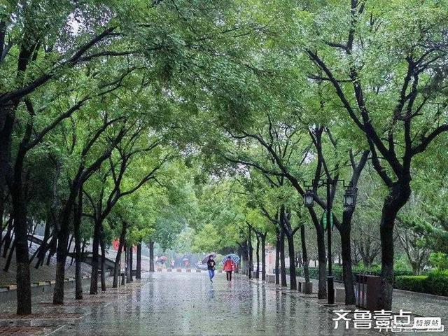 重阳节丨重阳节由来与习俗好运