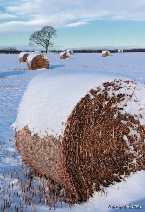 最美古诗词｜时光惊雪，雪落成诗，美到骨子里