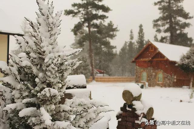 最美古诗词｜时光惊雪，雪落成诗，美到骨子里