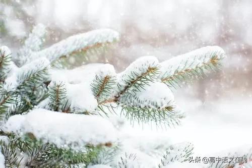 最美古诗词｜时光惊雪，雪落成诗，美到骨子里