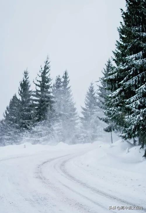 最美古诗词｜时光惊雪，雪落成诗，美到骨子里