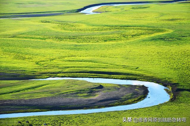 远看像只大海龟，近看像座活堡垒，大沟小河从容过（打一物）