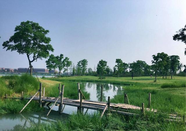 浙江海宁、海边的情景，那份宁静斐然于胸