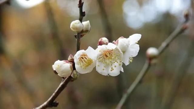 写在我50岁生日