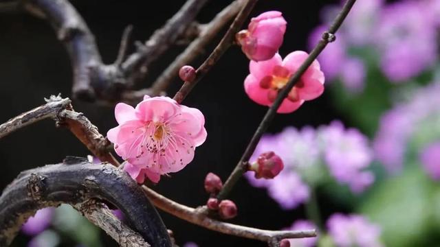 写在我50岁生日