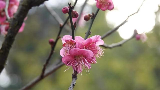 写在我50岁生日