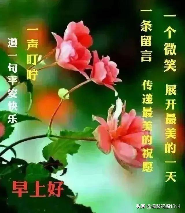 早上好，非常时期，送上清晨的问候