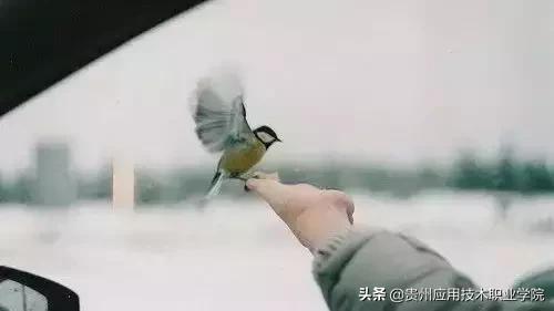 什么是沉默