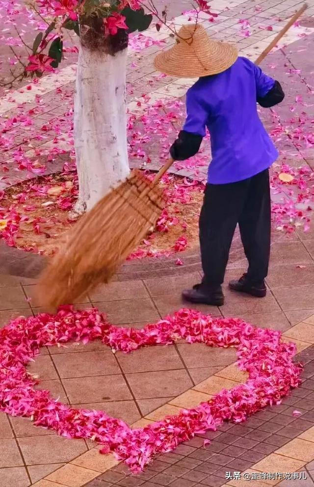 以赏花的心情看人生，花开花落，云卷云舒