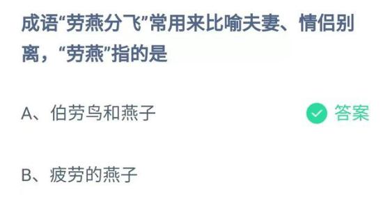 成语劳燕分飞常用来比喻夫妻情侣别离 劳燕指的是什么意思？蚂蚁庄园今日答案