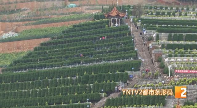 提前一到两周扫墓 错峰祭扫效果显现