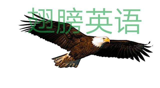 100个精华句子帮助你记住句型又积累词汇