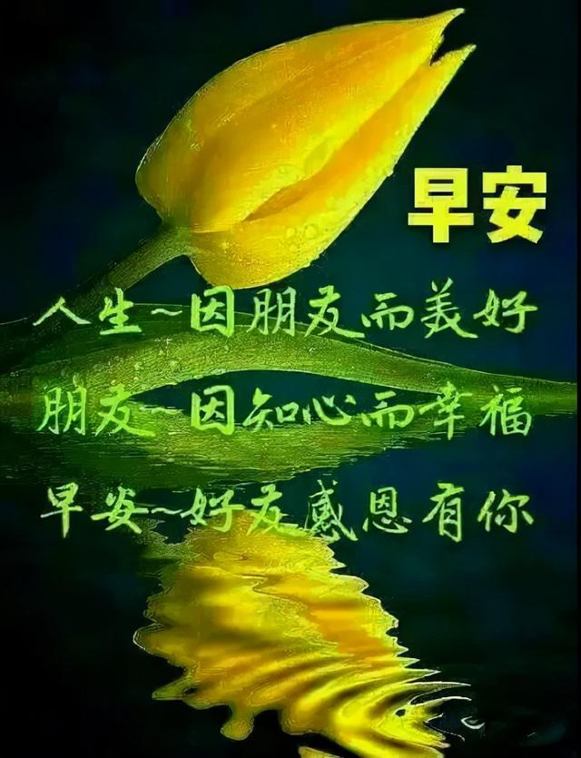 新周早上好，新的祝福送给你，愿你每天都开心，新的一周快乐出发