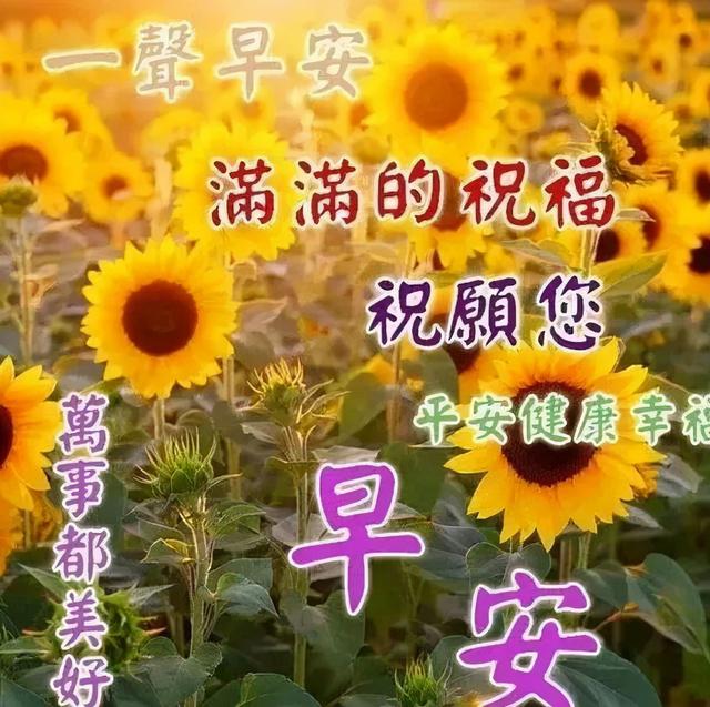 新周早上好，新的祝福送给你，愿你每天都开心，新的一周快乐出发