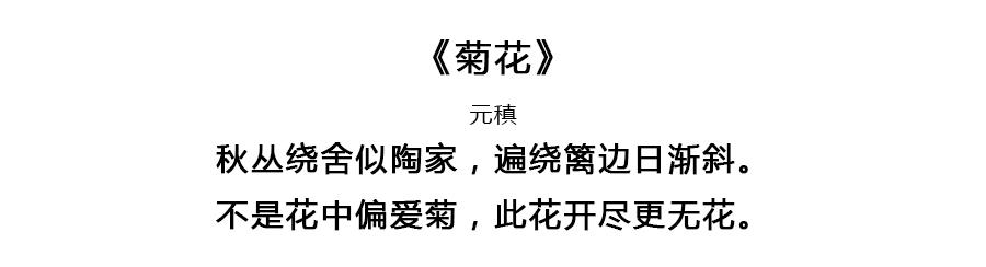 假如每一天对应一首唐诗，你的生日会拥有怎样的诗意？