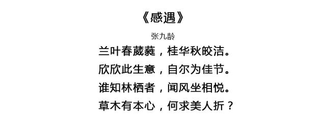 假如每一天对应一首唐诗，你的生日会拥有怎样的诗意？