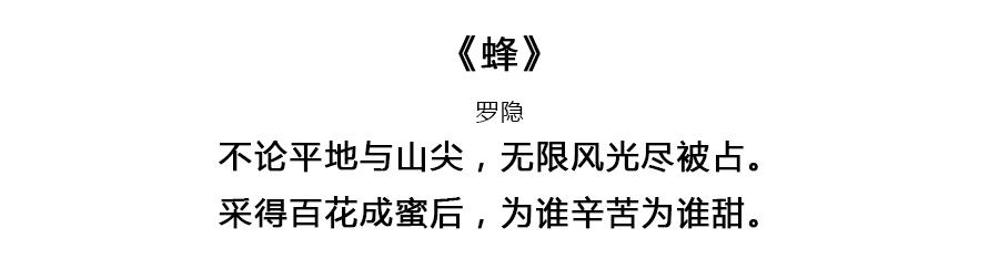 假如每一天对应一首唐诗，你的生日会拥有怎样的诗意？