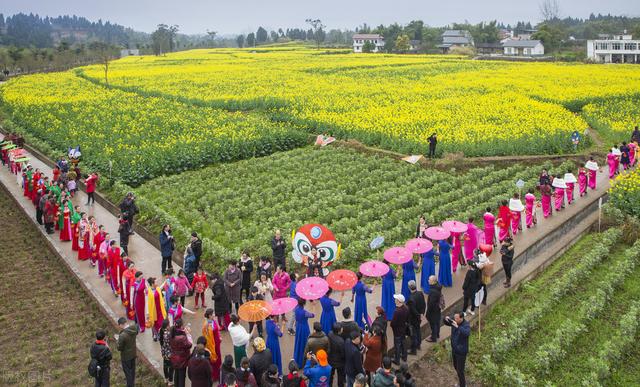 老祖宗总结的农谚，太实用了！附中国农村农谚大全（收藏）