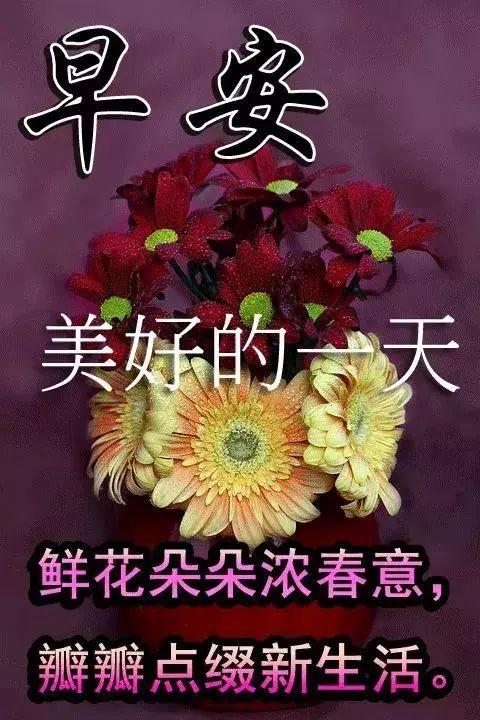 玩什么都行，别玩弄感情；伤什么都能，别伤害真诚，早安