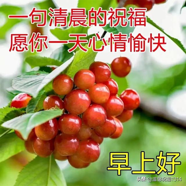 周四早上好！早安祝福问候语图带字，暖心温馨的清晨问候推荐