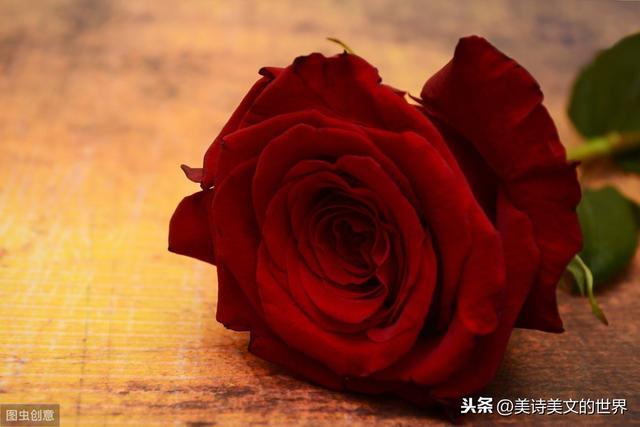 60多岁的成都大叔大妈结婚，各写下首洞房打油诗，这狗粮撒得高明