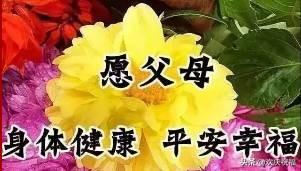 感恩节，一首《感恩有你》送给大家，祝大家健康，快乐，幸福