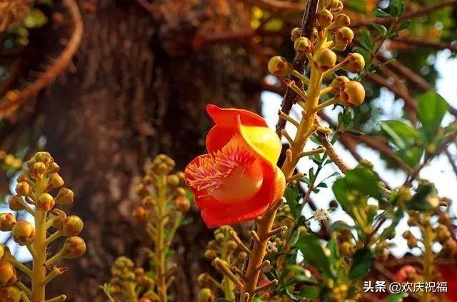 感恩节，一首《感恩有你》送给大家，祝大家健康，快乐，幸福