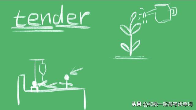 tender什么意思