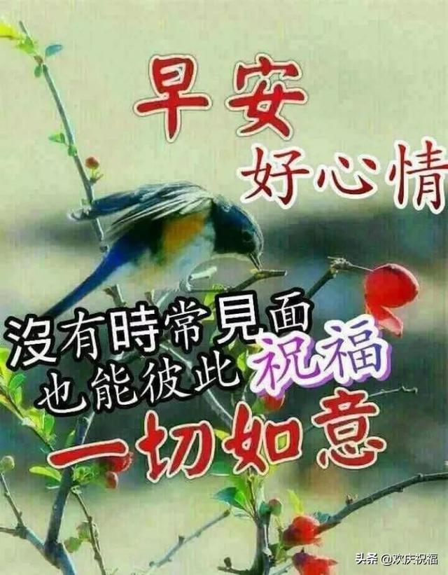 最新版早安问候祝福语短信大全，暖心的早安问候语动态表情