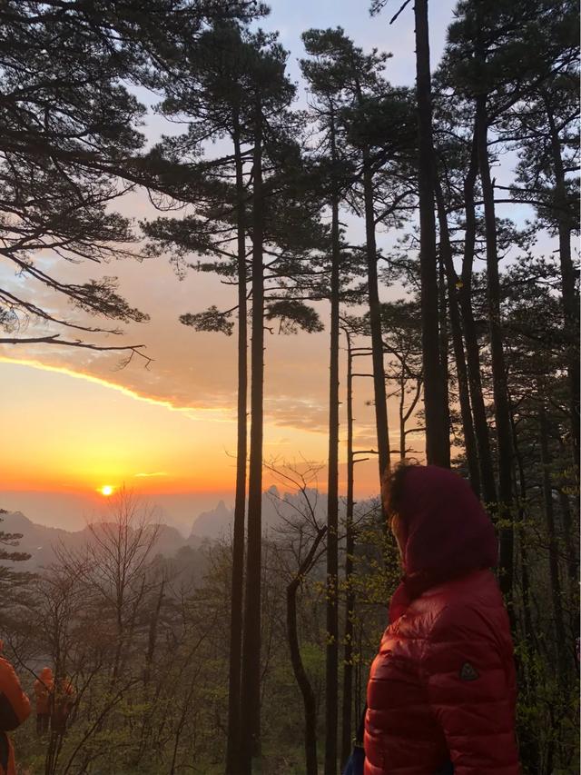 烟花三月下江南之九：重游黄山