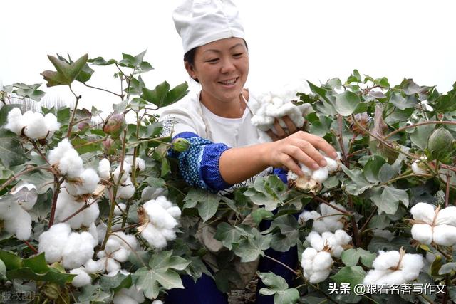 比喻句也会有温度？人物外貌这样描写，更容易出彩